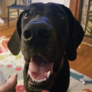 Meet your Posher, Beth